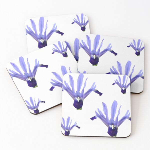 Item preview, Iris 'Fabiola' Reticulata designed and sold by Chris Burrows.