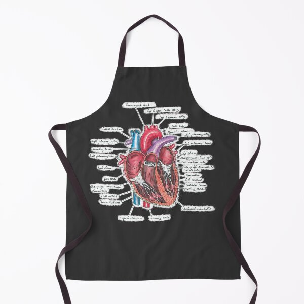 Item preview, Healthy Heart (on black) | Heart Anatomy | Medical Illustration designed and sold by Karli Mogen.