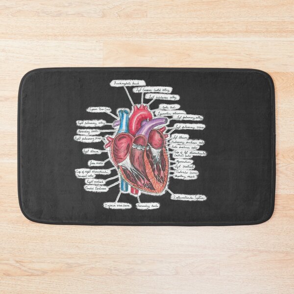 Item preview, Healthy Heart (on black) | Heart Anatomy | Medical Illustration designed and sold by Karli Mogen.