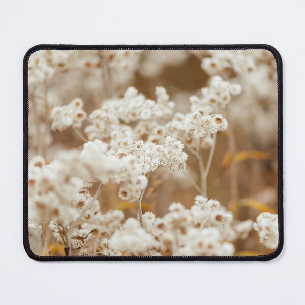 Item preview, Pearly everlasting designed and sold by millivedder.