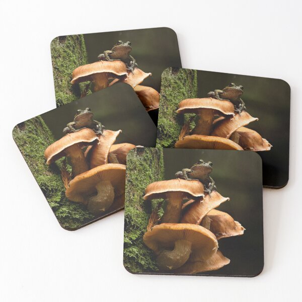 Item preview, Toadstools designed and sold by millivedder.