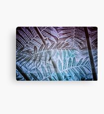 Fern Forest Canvas Print