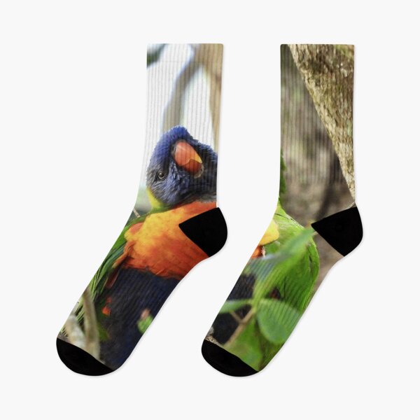 Item preview, Bird Kiss Rainbow Lorikeets designed and sold by Mark Grimsley.