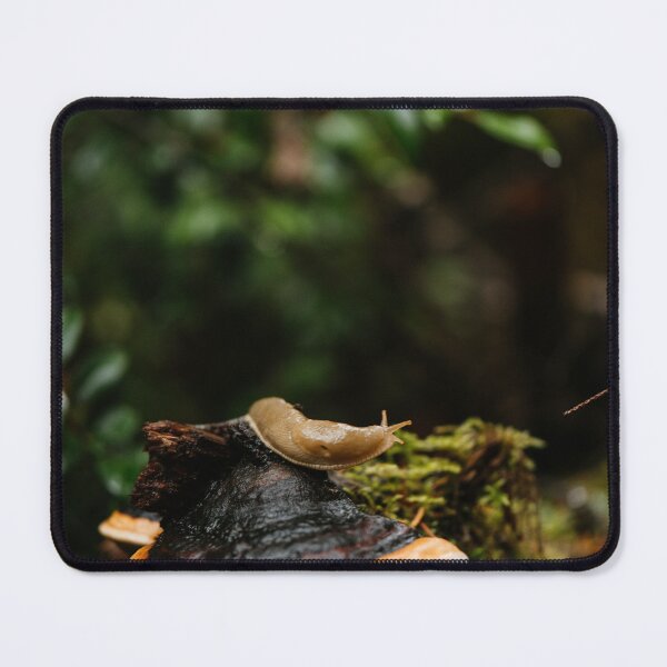 Item preview, Banana slug on a conk designed and sold by millivedder.