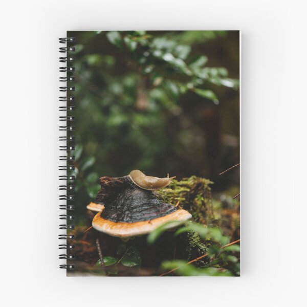 Item preview, Banana slug on a conk designed and sold by millivedder.