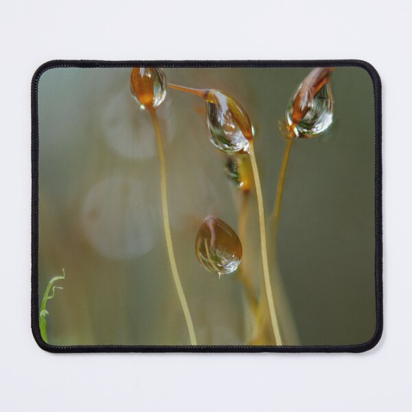 Item preview, Sporophytes designed and sold by millivedder.