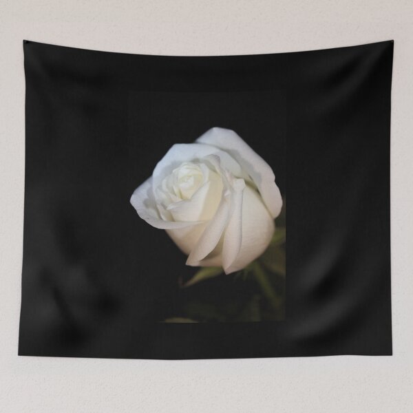 Item preview, Elegant White Rose designed and sold by Autumn Seas Photography.
