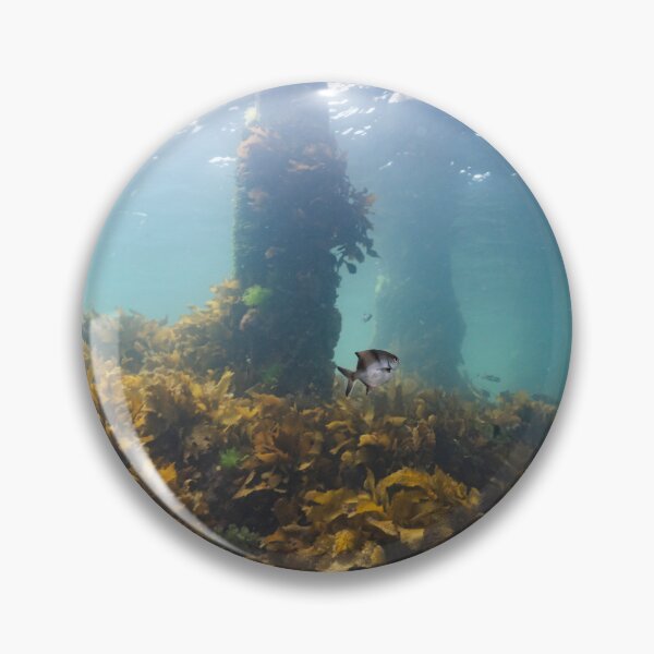 Item preview, Undersea Garden designed and sold by Russell Charters.