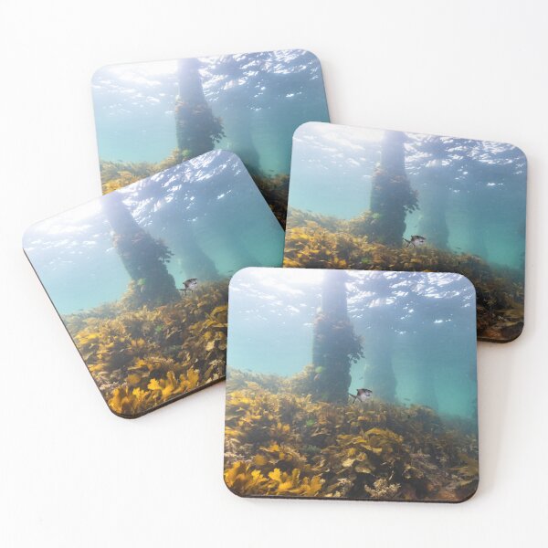 Item preview, Undersea Garden designed and sold by Russell Charters.