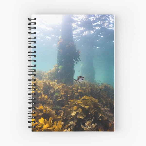 Item preview, Undersea Garden designed and sold by Russell Charters.