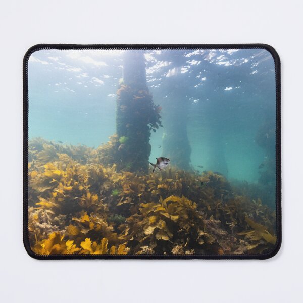 Item preview, Undersea Garden designed and sold by Russell Charters.