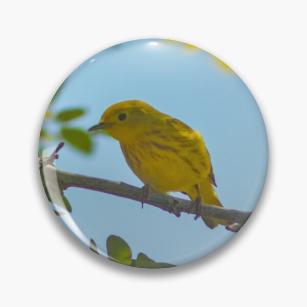 Item preview, Yellow canary designed and sold by bohemianeNVy7.