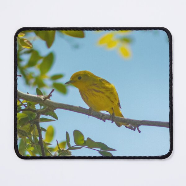 Item preview, Yellow canary designed and sold by bohemianeNVy7.
