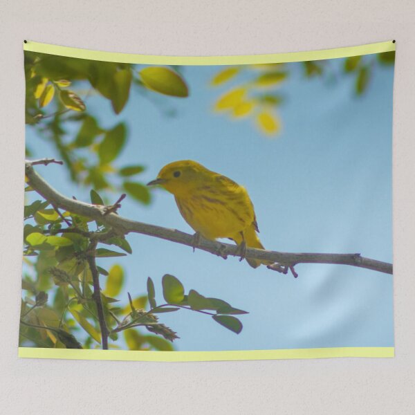 Item preview, Yellow canary designed and sold by bohemianeNVy7.