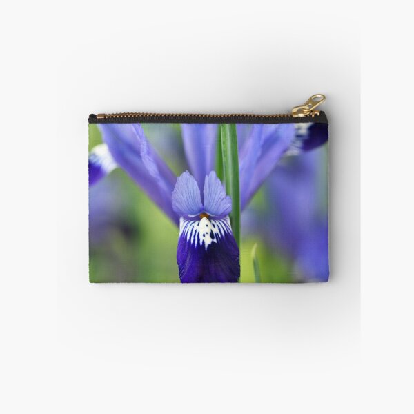 Aperçu de l'œuvre Iris & Fabiola & # 39; Reticulata créée et vendue par Chris Burrows.
