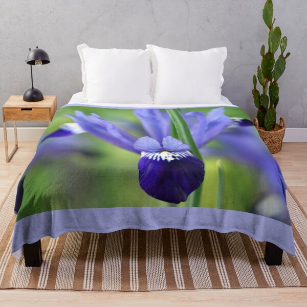 Item preview, Iris 'Fabiola' Reticulata designed and sold by Chris Burrows.