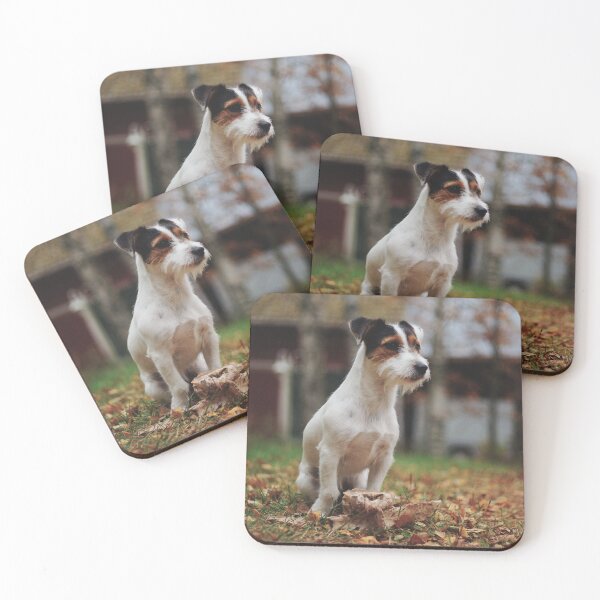 Item preview, Little white terrier guarding her yard designed and sold by riku05830.