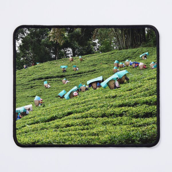 Item preview, Tea Garden designed and sold by surensingh.