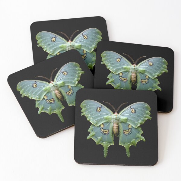 Item preview, Chinese Moon Moth | Actias Dubernardi designed and sold by Yogimeister.