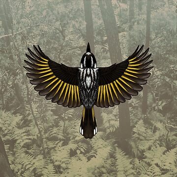 Artwork thumbnail, New Holland Honeyeater - Australian Bird by Samuel Hardidge