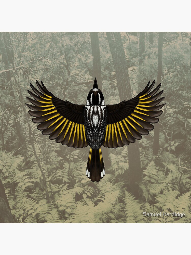Thumbnail 3 of 3, Sticker, New Holland Honeyeater - Australian Bird designed and sold by 48Tuesdays.