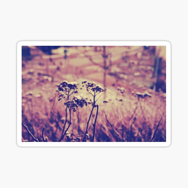Item preview, Splash of color designed and sold by riku05830.