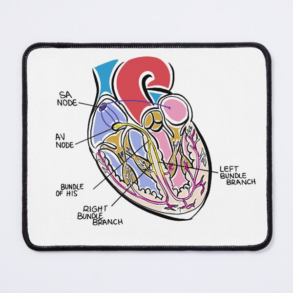 Item preview, Electrical pathways in the heart designed and sold by RedRiverValley.