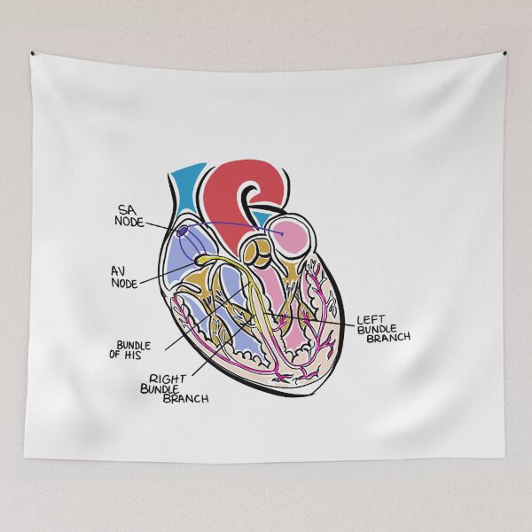 Item preview, Electrical pathways in the heart designed and sold by RedRiverValley.