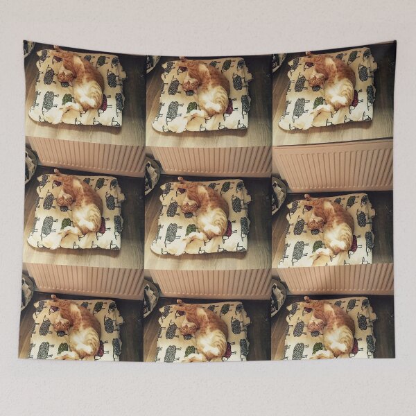 Item preview, Repetitional red cat sleeping designed and sold by Photopat.