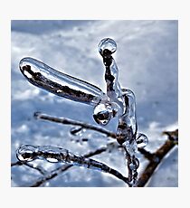 Three prong icicly branch Photographic Print