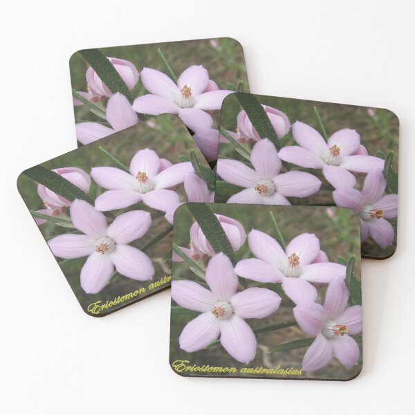 Item preview, Eriostemon australasius - labelled (Pink Wax Flower) designed and sold by Arcane Botanica.