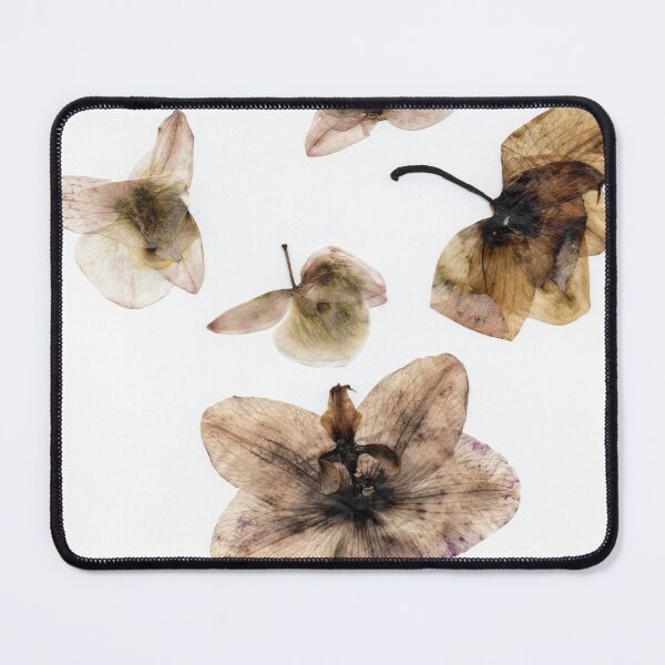 Item preview, Pressed Moldy Orchid Blooms designed and sold by Amber Griffin.