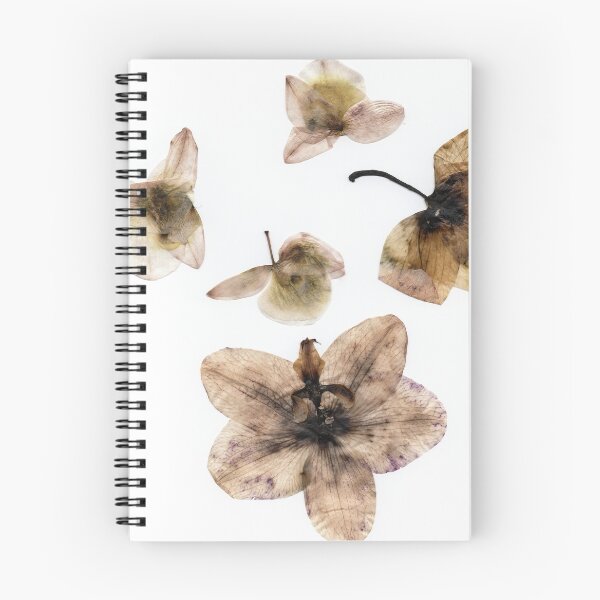 Item preview, Pressed Moldy Orchid Blooms designed and sold by Amber Griffin.