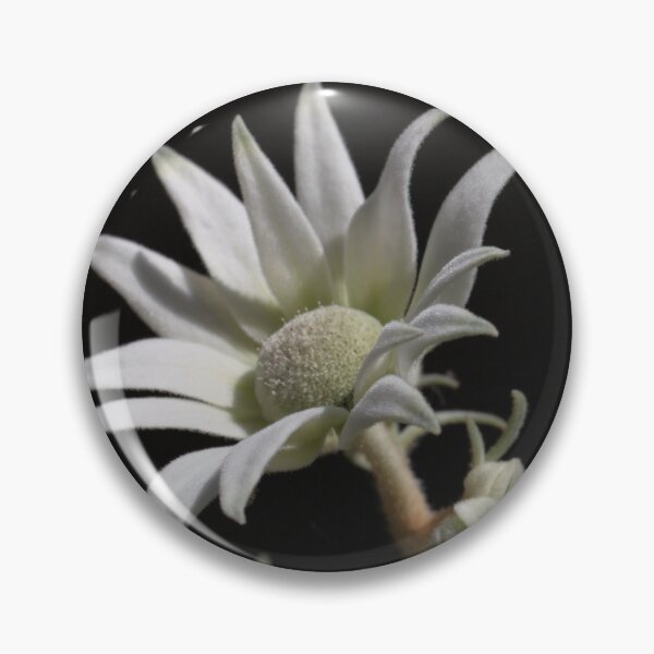 Item preview, Flannel Flower-01 designed and sold by RickLionheart.
