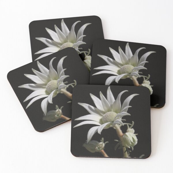 Item preview, Flannel Flower-01 designed and sold by RickLionheart.