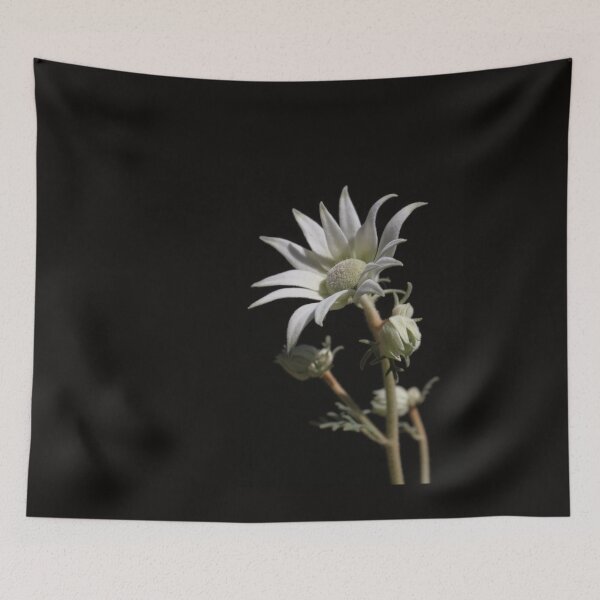 Item preview, Flannel Flower-01 designed and sold by RickLionheart.