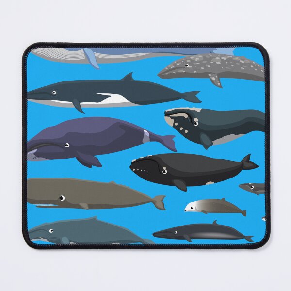 Item preview, Whale Species size comparison set designed and sold by SUPERHERON.
