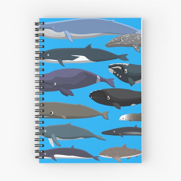 Item preview, Whale Species size comparison set designed and sold by SUPERHERON.