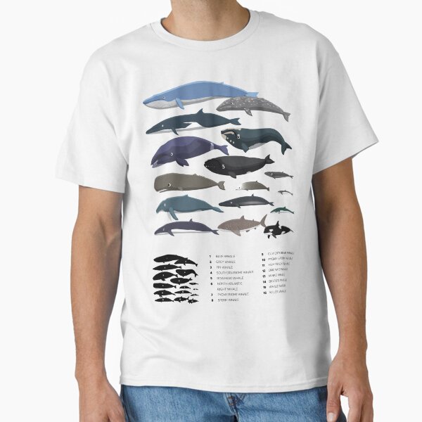Item preview, Whale Species size comparison set designed and sold by SUPERHERON.