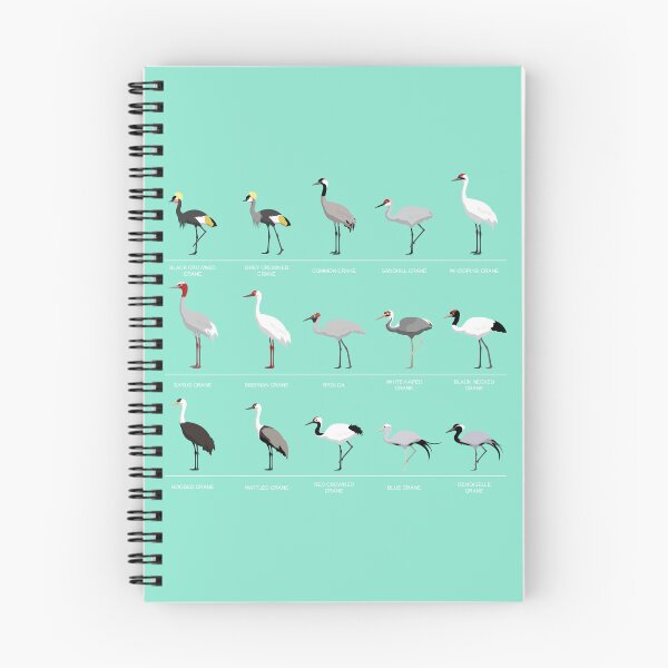 Item preview, Crane Bird Species Comparison Set designed and sold by SUPERHERON.
