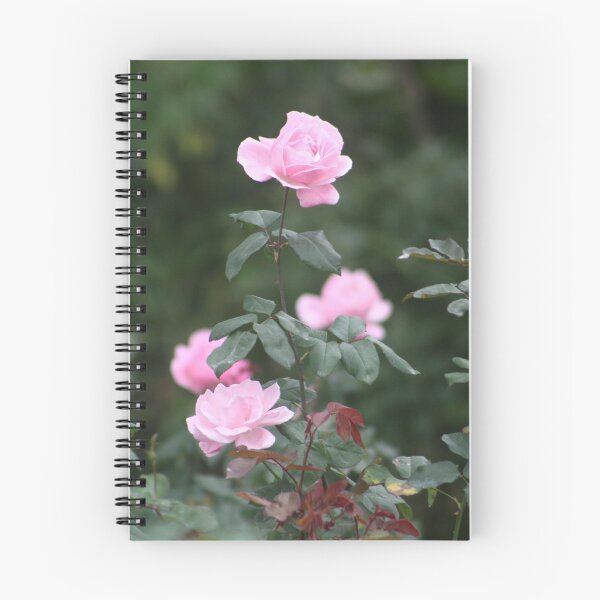 Artikelvorschau, Rosa Rosen entworfen und verkauft von Wednesday Art design .