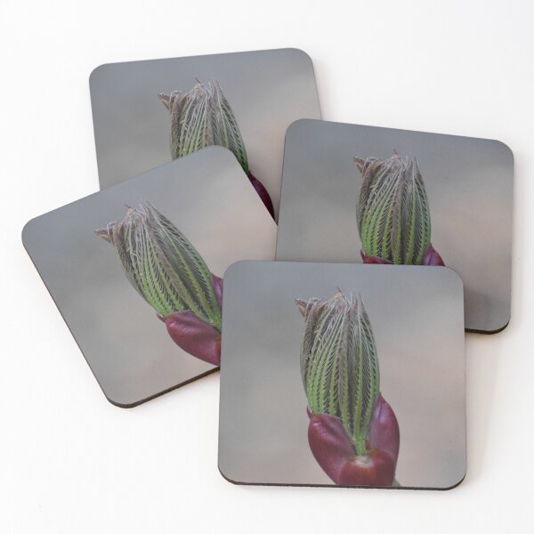 Item preview, About to open designed and sold by Tonia Delozier's Photography .