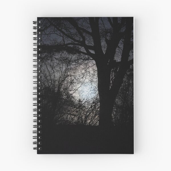 Item preview, Hiding the moon. Full moon at Parkkuu January 2024. designed and sold by Jouko Lehto Photography.