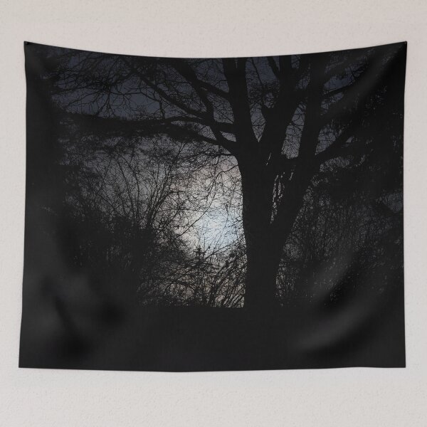 Item preview, Hiding the moon. Full moon at Parkkuu January 2024. designed and sold by Jouko Lehto Photography.