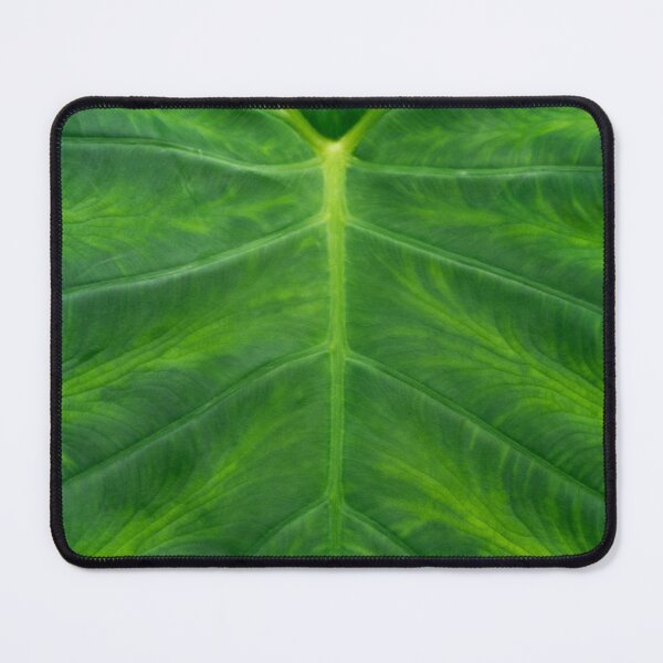 Item preview, Viridescent Giant Elephant Ear Tropical Leaf designed and sold by Georgia Mizuleva.