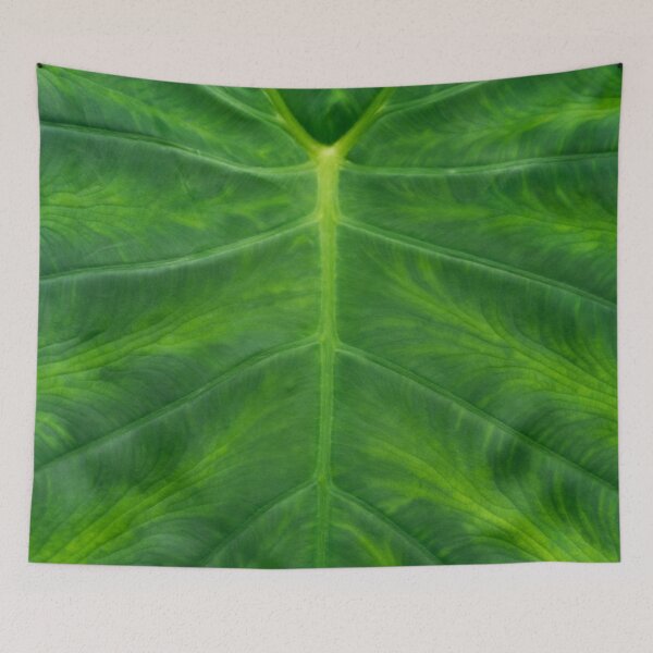 Item preview, Viridescent Giant Elephant Ear Tropical Leaf designed and sold by Georgia Mizuleva.