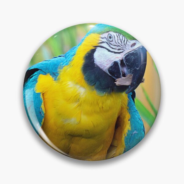 Item preview, MACAW designed and sold by likbatonboot.
