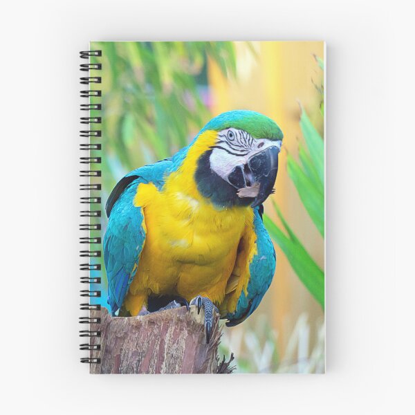 Item preview, MACAW designed and sold by likbatonboot.