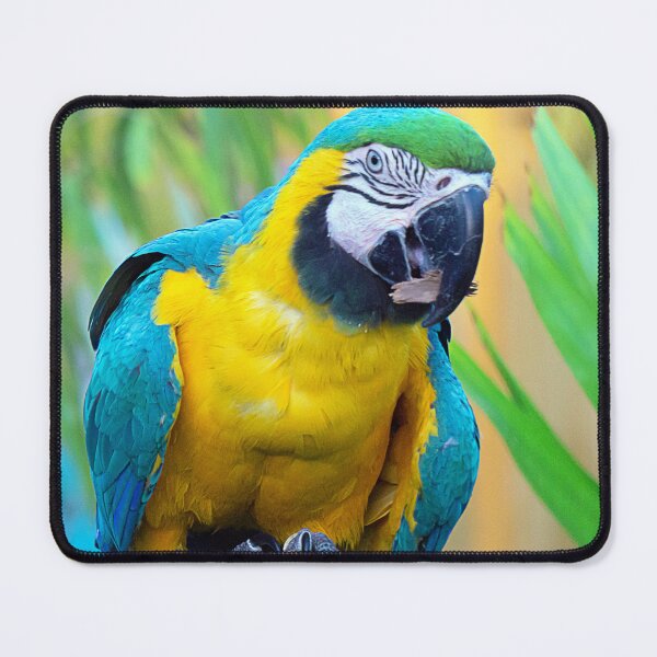 Item preview, MACAW designed and sold by likbatonboot.