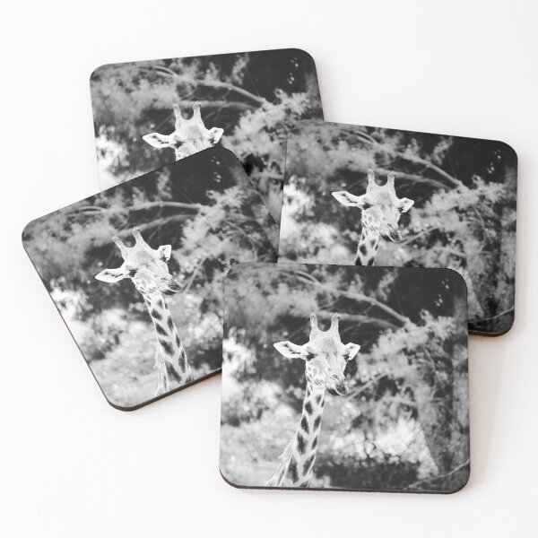 Item preview, Giraffe Jerez Zoo Black and White designed and sold by eddiebarronshop.